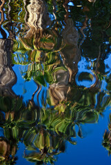 Los Angeles County arboretum, Los Angeles, California, USA