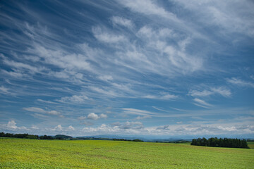 Obraz premium 7月の素敵な雲たちと美瑛の大地