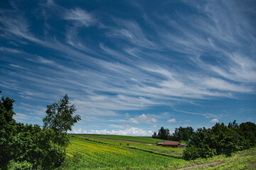 7月の素敵な空と美瑛の丘