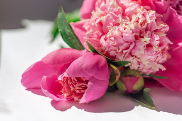 Fototapeta premium Flower composition. Close-up bouquet of delicate pink peonies lies on a white surface. Spring or summer floral background. Photo for flower shops, greeting cards. Mother's day concept. Soft focus.