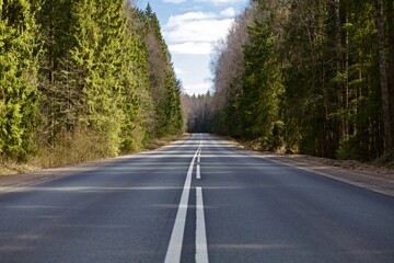 Straight empty asphalt road through the coniferous forest. Modern countryside road leading into the distance. Highway surface close up. Diminishing perspective road view. Traveling by car. Road trip.