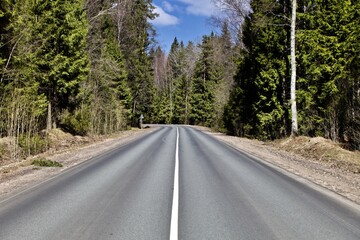 Fototapeta premium Straight empty asphalt road through the coniferous forest. Modern countryside road leading into the distance. Highway surface close up. Diminishing perspective road view. Traveling by car. Road trip.