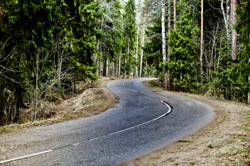 Empty asphalt road turn. Modern countryside road leading into the distance through the forest....