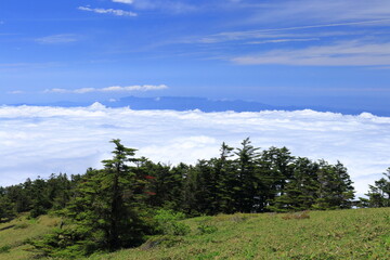 瓶ヶ森　登山道から眼前に広がる雲海を眺める　初夏（四国）