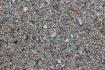The texture of the sand mixture.