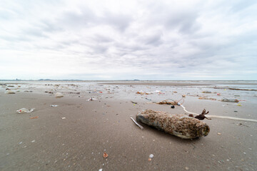 Plastic bottle covered in sea barnacles and sponges (foulers) and cast ashore on the beach, marine pollution.Concept for environmental pollution