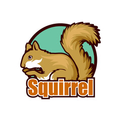 squirrel logo isolated on white background vector illustration