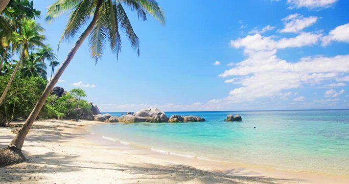 beach and coconut palm trees. Koh Tao, Thailand