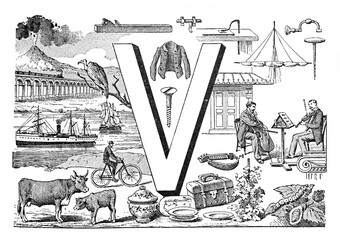 English alphabet V with mixed illustrations animals and decoration hand drawn ABC / Antique illustration from Petit Larousse 1914