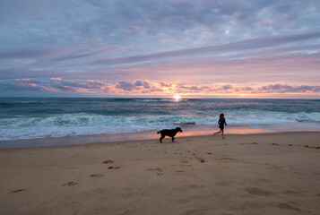 cute little girl running on the beach with her dog at sunset