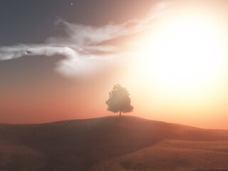 3D tree landscape against a sunset sky