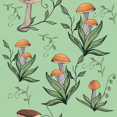 Mushrooms edible vegeterian organic mushrooming seamless pattern,  illustration.  boletus, aspen mushroom. 
