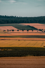 Obraz premium Wonderful spring countryside landscape view with blossom tree flowers of apple trees on a bright sunny day. Brocken, Harz Mountains, Harz National Park in Germany.