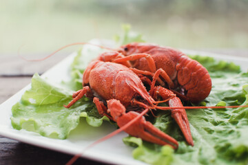 Hot delicious crayfish on a plate. Crayfish. Red boiled crawfishes. Lobster closeup.