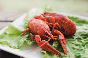 Hot delicious crayfish on a plate. Crayfish. Red boiled crawfishes. Lobster closeup.