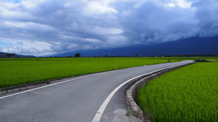 rural road in the fields of the countryside