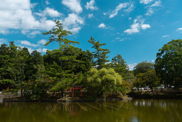 Fototapeta na wymiar Landscape of Nara Park in sunny day. Japan