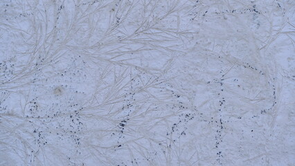 
Old wall surface of the house.