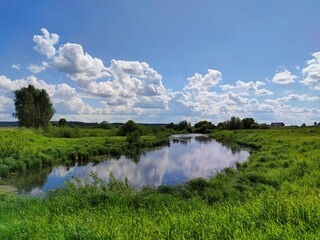 Fototapeta na wymiar a small lake among a green field on a background of blue cloudy sky on a sunny day