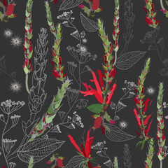 Bright contrasting seamless pattern with thickets of red flowers, pods, leaves and field inflorescences. Plant elements, their contours and silhouettes are densely randomly arranged. Vector image on a