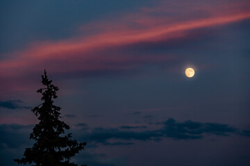 full moon over the sunset sky 