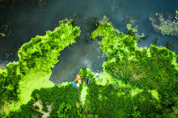 Green algae on the lake and few boats, flying above