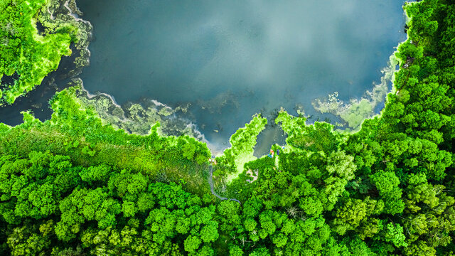 Stunning green algae on the lake in spring, aerial view