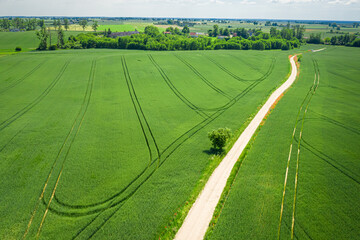 Aerial view of green field and country road in summer