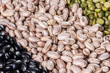 Grain variety - Black beans, carioca beans, chickpeas and peas