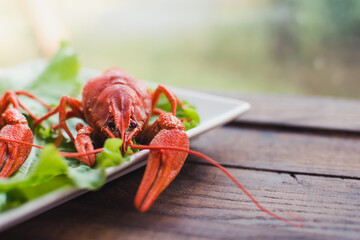 Hot delicious crayfish on a plate. Crayfish. Red boiled crawfishes. Lobster closeup.