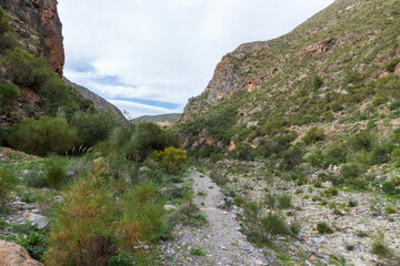 mountainous landscape with a canyon in the center