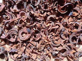 Dried mangosteen (Garcinia mangostana, purple mangosteen, manggis) peel. Mangosteen rind used as herbal medicine.