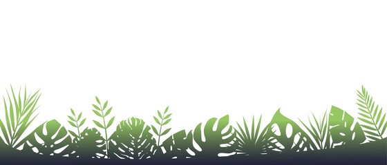 Green fern background in fog. Horizontal decoration of rainforests after rain floral botanical background with elegant blurred fern leaves wild natural lawn in saturated vector.