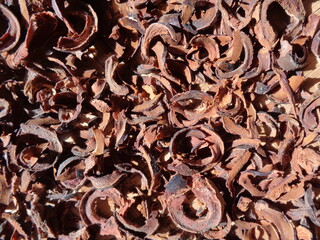Dried mangosteen (Garcinia mangostana, purple mangosteen, manggis) peel. Mangosteen rind used as herbal medicine.
