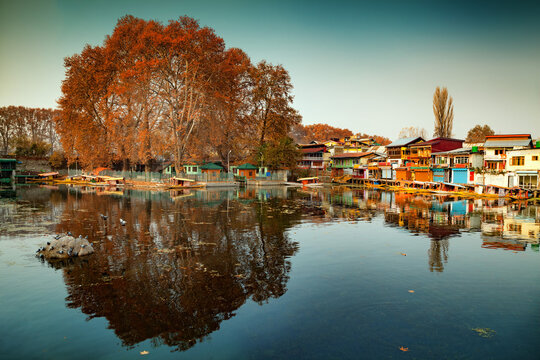 A picturesque view of several Shikara boats parked at jhelum riverside in Srinagar, Jammu and Kashmir, India