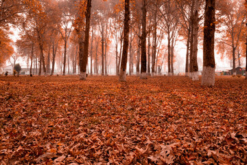 Two students walking on a pathway inside Kashmir University Camp