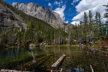 fallen tree in a lake in the mountains on a sunny summer day