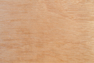 wood texture or background