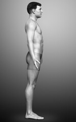 3d rendered illustration of the male body