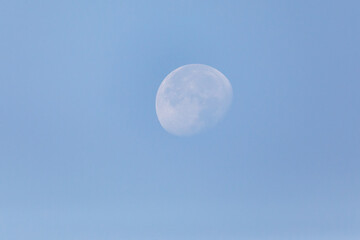 Pale morning moon