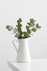 Eucalyptus branches in a vase on a white table.