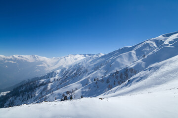 Fototapeta na wymiar Snow Covered Himalayan Mountains in Gulmarg