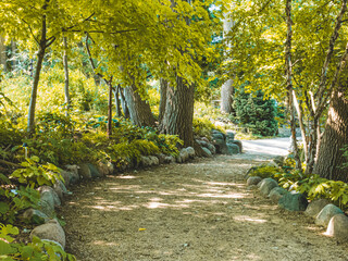 A winding boulder-lined path among golden colored trees in a botanical garden.