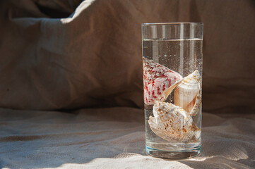 Sea shells in a glass of water covered with sandy linen linen on a sunny day. Copy space on the left