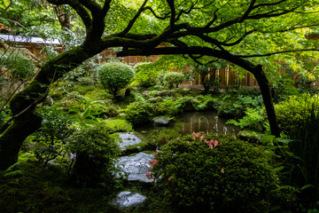 京都 大原 宝泉院 新緑と初夏の景色