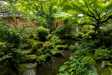 京都 大原 宝泉院 新緑と初夏の景色