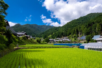 京都 大原 田舎の原風景 夏の景色