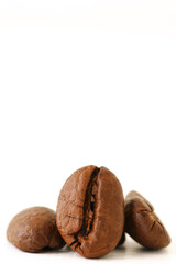 Roasted coffee beans on white background with copy space.