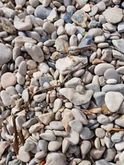 texture of rocks and branches