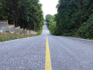 Summer Country Road With Trees Beside Concept